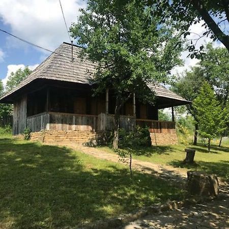 모이세이 Granny'S House 빌라 외부 사진