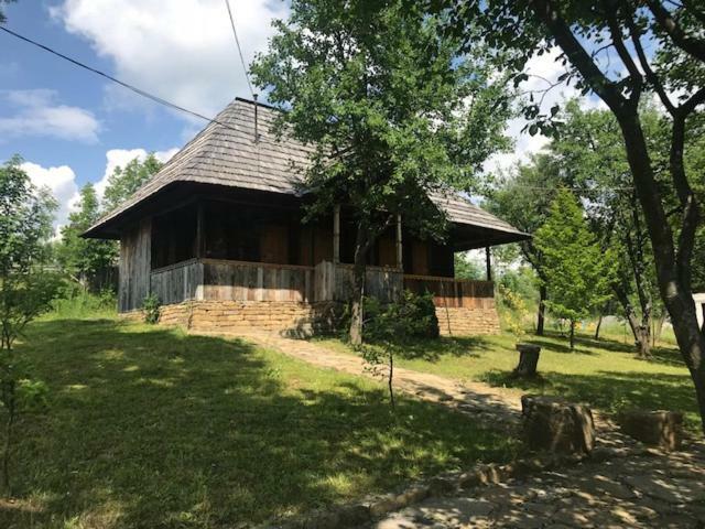 모이세이 Granny'S House 빌라 외부 사진